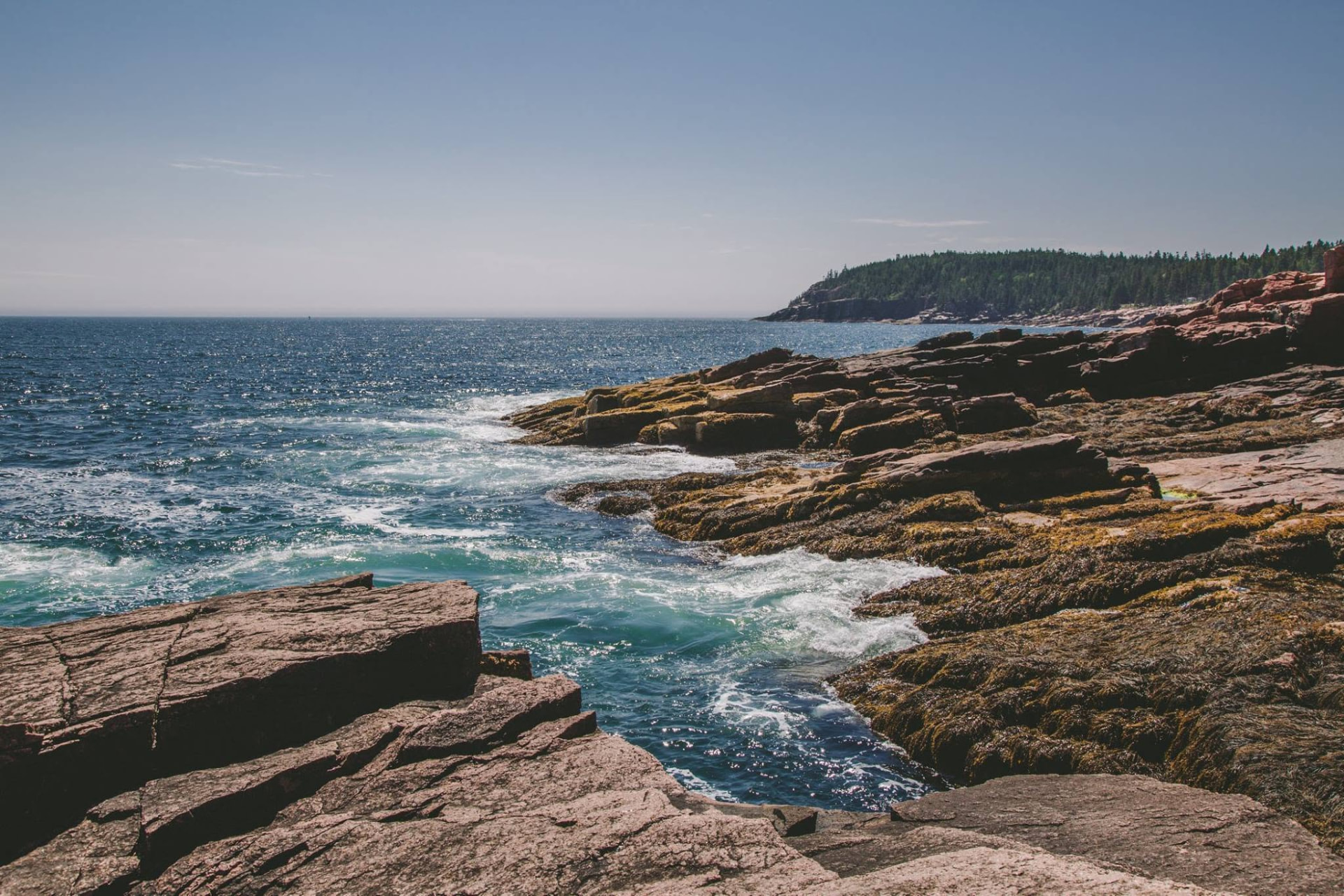 Waves washing over seaweed-covered pink granite ledges along the Maine coast
